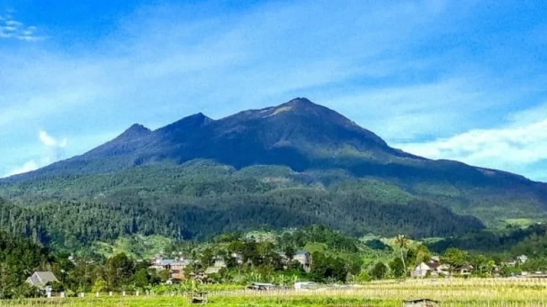 67035b9b8d9a5-bidadari-gunung-lawu-mitos-legenda-dan-jejak-di-puncak-tertinggi_banyuwangi